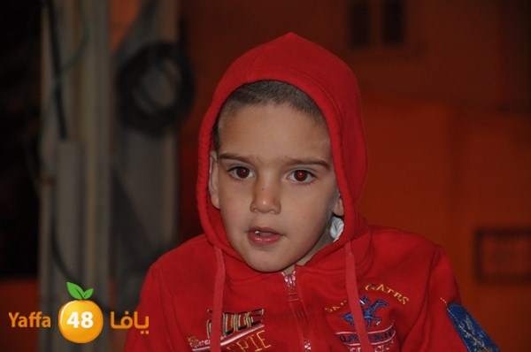 tree light 1208 (112).JPG